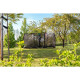 EXIT Trampolin Allure Classic Ground 366 x 214 cm grün + Netz